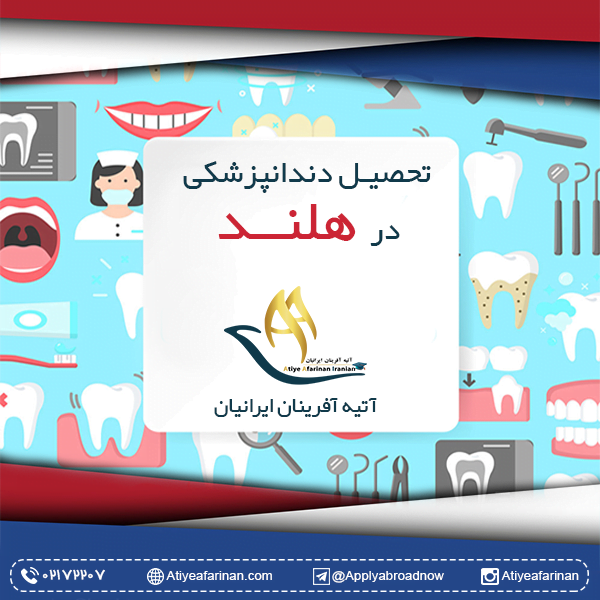 تحصیل دندان پزشکی در هلند
