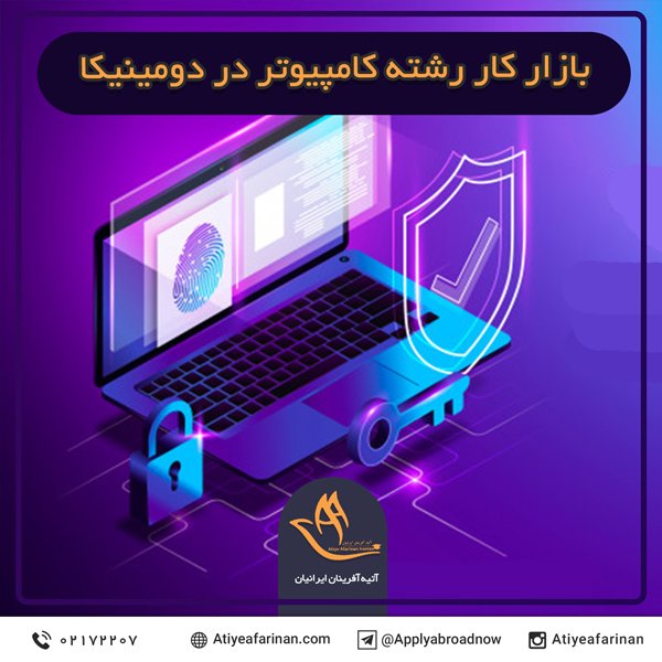 بازار کار رشته کامپیوتر در دومینیکا