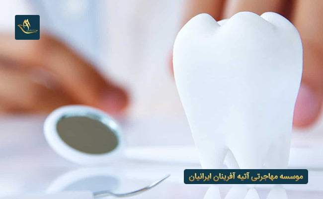 تحصیل در رشته های پزشکی و دندانپزشکی در بلژیک 