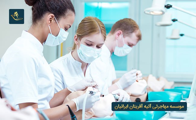 تحصیلات پزشکی در نیوزلند