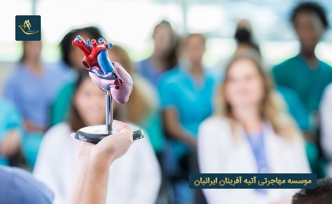 تحصیل پزشکی در کشور دانمارک