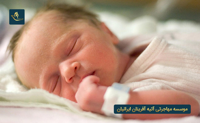 مهاجرت به بلژیک از طریق تولد