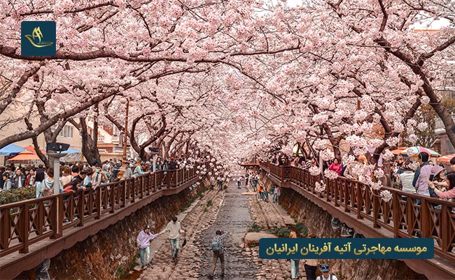 اقامت دائم کشور کره جنوبی