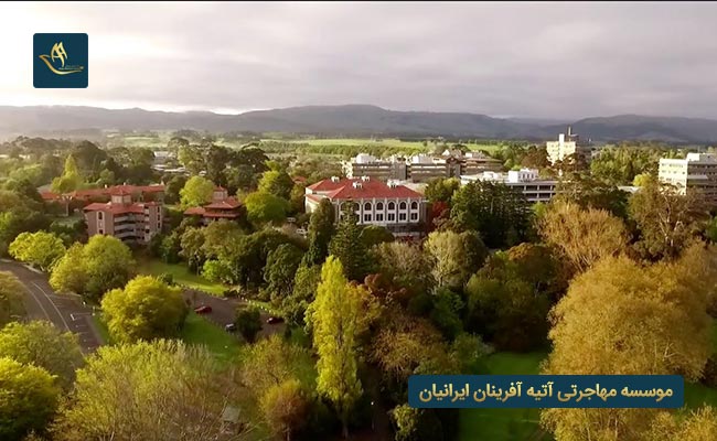 دانشکده های دانشگاه مسی