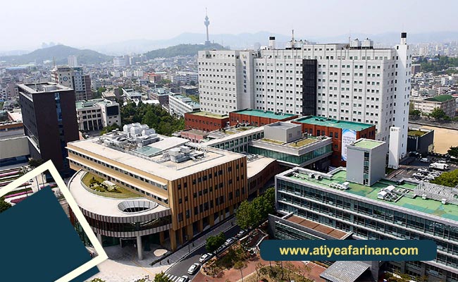 دانشگاه های معتبر دندانپزشکی در کشور کره جنوبی