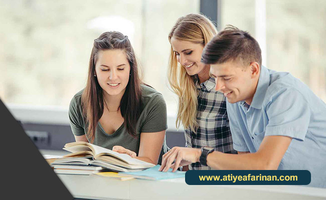 تحصیل کارشناسی در بلژیک